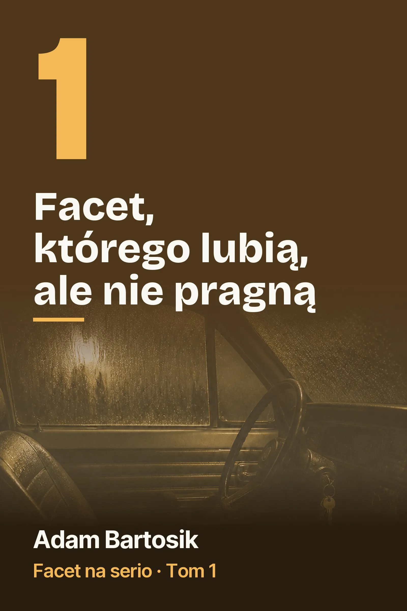 Okładka książki Facet, którego lubią, ale nie pragną